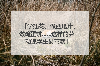 学插花、做西瓜汁、做鸡蛋饼……这样的劳动课学生最喜欢