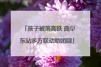 孩子被落高铁 曲阜东站多方联动助团圆