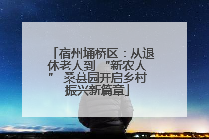 宿州埇桥区：从退休老人到 “新农人” 桑葚园开启乡村振兴新篇章