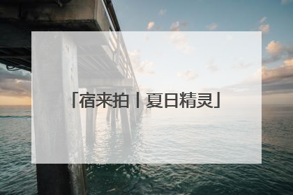 宿来拍丨夏日精灵