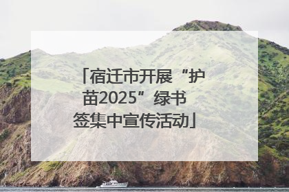 宿迁市开展“护苗2025”绿书签集中宣传活动