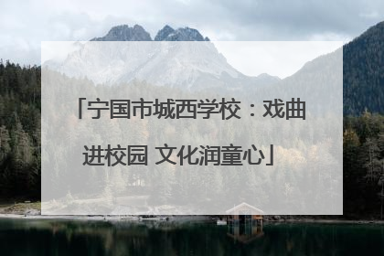 宁国市城西学校：戏曲进校园 文化润童心