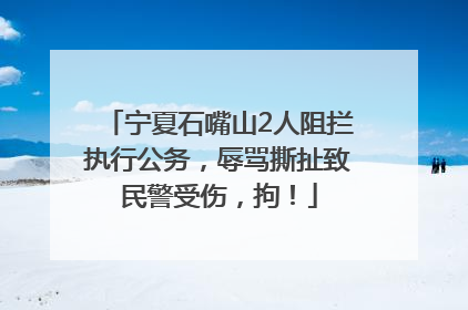 宁夏石嘴山2人阻拦执行公务，辱骂撕扯致民警受伤，拘！