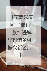 宁夏兴庆区 “曦有一族”进城里打造乡村振兴新名片