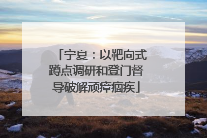 宁夏：以靶向式蹲点调研和登门督导破解顽瘴痼疾