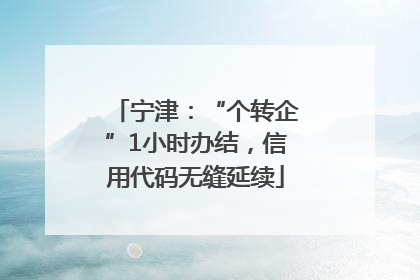 宁津：“个转企”1小时办结，信用代码无缝延续
