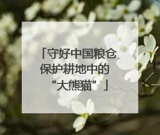 守好中国粮仓 保护耕地中的“大熊猫”