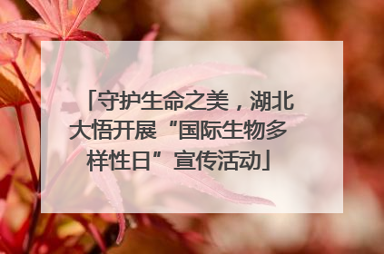 守护生命之美，湖北大悟开展“国际生物多样性日”宣传活动
