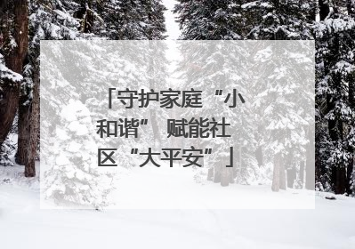 守护家庭“小和谐” 赋能社区“大平安”