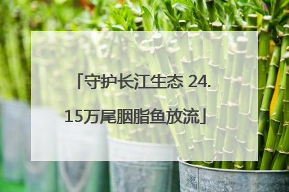 守护长江生态 24.15万尾胭脂鱼放流