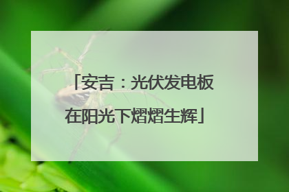 安吉：光伏发电板在阳光下熠熠生辉