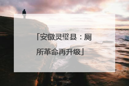 安徽灵璧县：厕所革命再升级