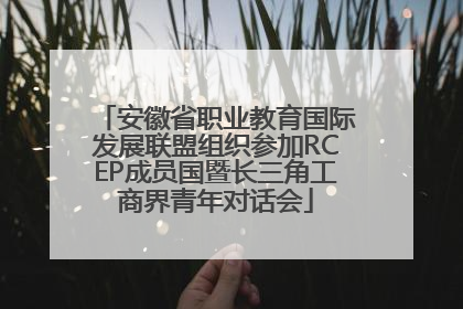 安徽省职业教育国际发展联盟组织参加RCEP成员国暨长三角工商界青年对话会