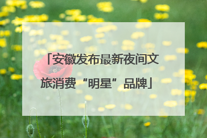 安徽发布最新夜间文旅消费“明星”品牌