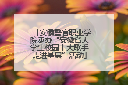 安徽警官职业学院承办“安徽省大学生校园十大歌手走进基层”活动