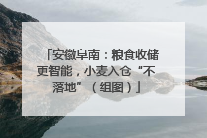安徽阜南：粮食收储更智能，小麦入仓“不落地”（组图）