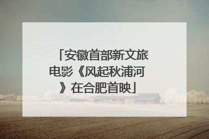 安徽首部新文旅电影《风起秋浦河》在合肥首映