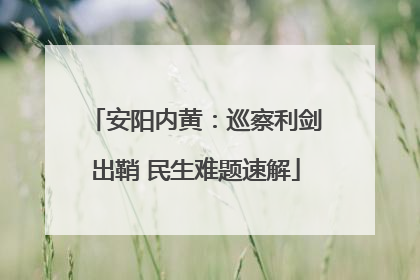 安阳内黄：巡察利剑出鞘 民生难题速解