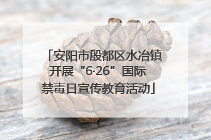 安阳市殷都区水冶镇开展“6·26”国际禁毒日宣传教育活动