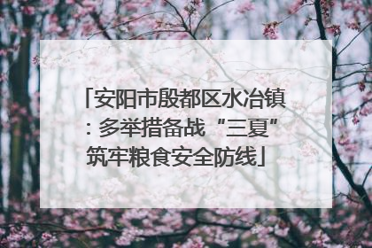 安阳市殷都区水冶镇：多举措备战“三夏” 筑牢粮食安全防线