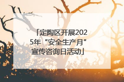 定陶区开展2025年“安全生产月”宣传咨询日活动