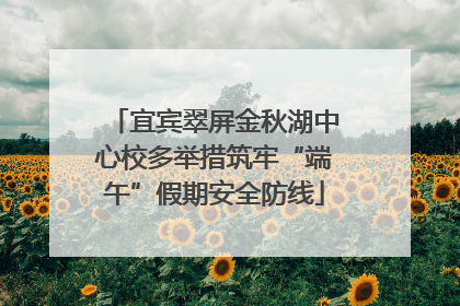 宜宾翠屏金秋湖中心校多举措筑牢“端午”假期安全防线