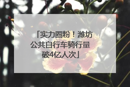 实力圈粉！潍坊公共自行车骑行量破4亿人次