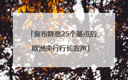 宣布降息25个基点后 欧洲央行行长发声
