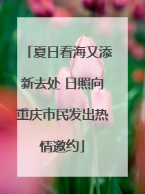夏日看海又添新去处 日照向重庆市民发出热情邀约