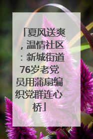 夏风送爽，温情社区：新城街道76岁老党员用蒲扇编织党群连心桥