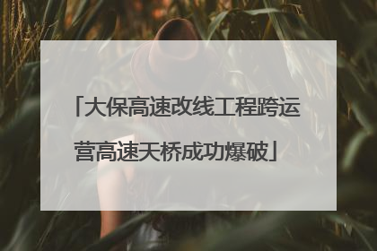 大保高速改线工程跨运营高速天桥成功爆破