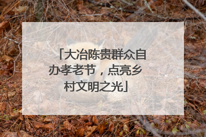 大冶陈贵群众自办孝老节，点亮乡村文明之光