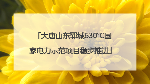 大唐山东郓城630℃国家电力示范项目稳步推进