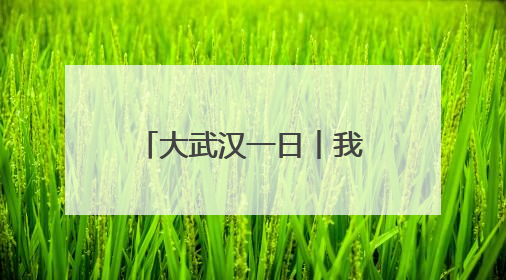 大武汉一日︱我为南昌女生拍下美丽“武汉”