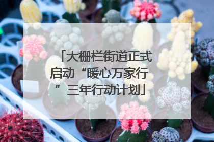 大栅栏街道正式启动“暖心万家行”三年行动计划