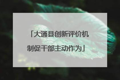大通县创新评价机制促干部主动作为