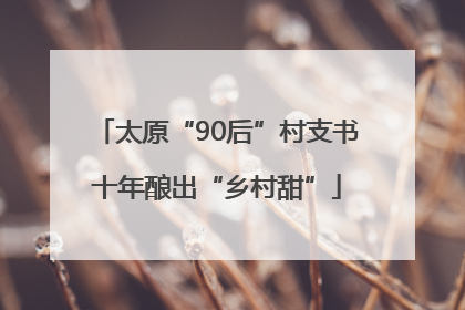 太原“90后”村支书十年酿出“乡村甜”