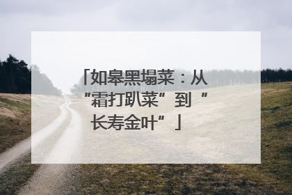 如皋黑塌菜：从“霜打趴菜”到“长寿金叶”