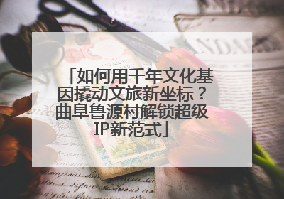 如何用千年文化基因撬动文旅新坐标？曲阜鲁源村解锁超级IP新范式