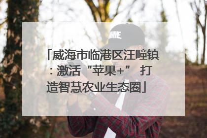 威海市临港区汪疃镇：激活“苹果+” 打造智慧农业生态圈