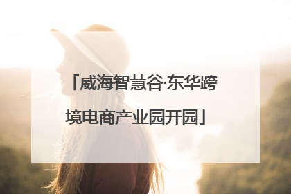 威海智慧谷·东华跨境电商产业园开园