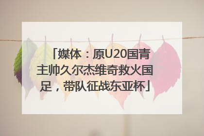 媒体：原U20国青主帅久尔杰维奇救火国足，带队征战东亚杯