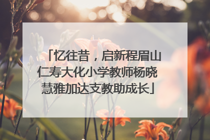 忆往昔，启新程眉山仁寿大化小学教师杨晓慧雅加达支教助成长