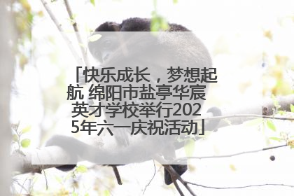 快乐成长，梦想起航 绵阳市盐亭华宸英才学校举行2025年六一庆祝活动