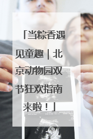 当粽香遇见童趣｜北京动物园双节狂欢指南来啦！