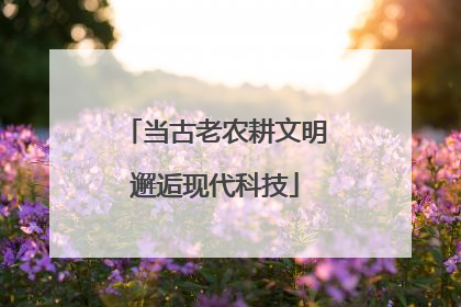 当古老农耕文明邂逅现代科技