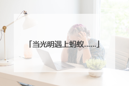 当光明遇上蚂蚁……