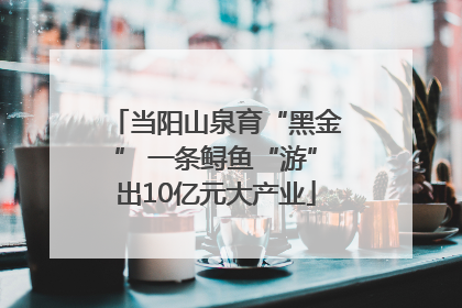 当阳山泉育“黑金” 一条鲟鱼“游”出10亿元大产业