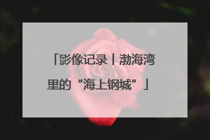 影像记录丨渤海湾里的“海上钢城”