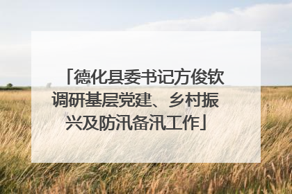德化县委书记方俊钦调研基层党建、乡村振兴及防汛备汛工作
